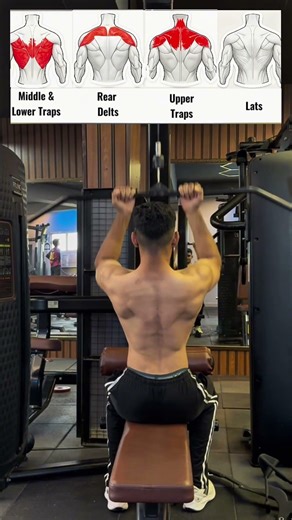 Lat Pulldown Machine | Hit Lats, Middle Traps, Rear Delts & Upper Traps