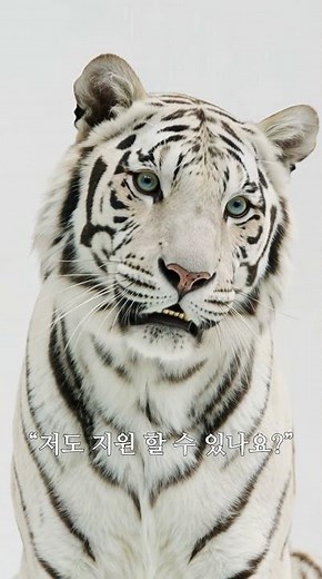 고려사이버대학교 대학원 2026학년도 신입생 모집