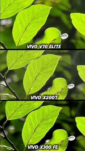 Vivo V70 Elite vs Vivo X200T vs Vivo x300 Fe Photography Test Camera Testing Ultimate Camera battle