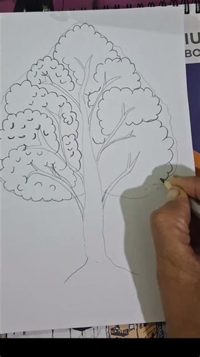 Simple & Beautiful Tree Sketch | Easy Pencil Drawing| esy one min drawing 🌿