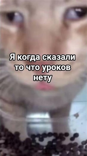 залети пж актииив поднимайся