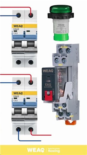 General Purpose Relay Application: Building a Dual Circuit Control System.