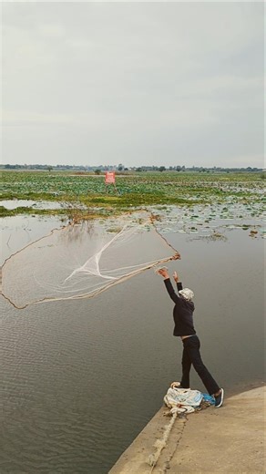 Awesome how to throw castnet fishing traditional #netting#castnet#fishing#handfishing