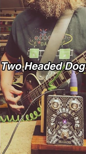 Haggtronix Two Headed Dog fuzz in two transistor mode.