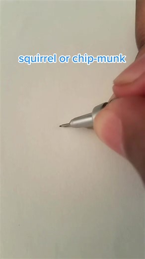 Squirrel or Chipmunk: Can You Guess?