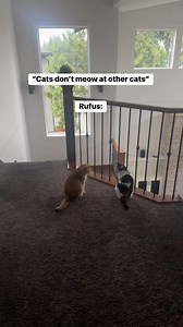 Ohhhhh Rufus | dancatdad