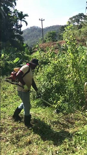 This Manual Cutter Works Like Magic! 🌿🔥