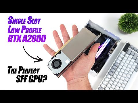 Single Slot Low Profile RTX A2000! The Perfect Small Foot Print GPU