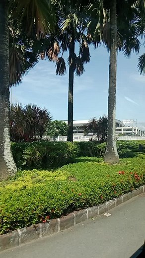 CapCut Video Editing: Fall in Love Again with Music