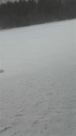 Echo Lake, NH, looking like tundra on January 9, 2022 #thenaturenomad #echolake #windy #NewHampshire #winterweather | The Nature Nomad