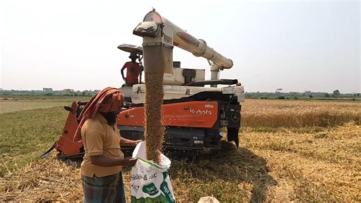 5.8K views · 26 reactions | Modern Wheat Harvesting – Machines in Action | Art Action | Facebook