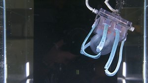 Soft Robotic Gripper for Jellyfish