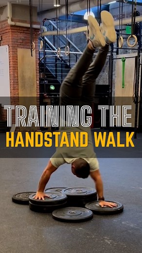 🤔 How do you train your Handstand Walk?⁠ ⁠ Do you have clear progressions and an intentional approach?⁠ ⁠ Or do you “just do it” and hope for a miracle?! 🙏🏼 🤣⁠ ⁠ 📝 Here is a sample day of programming, including warm-ups, for the New Handstand Walking - Advanced plan in the Power Monkey Training App.⁠ ⁠ 🤸 This plan is designed by US Olympic Team Member Dave Durante (who may actually spend more time on his hands than his feet!). ⁠ ⁠ Learn to have complete control on your hands, no matter wha
