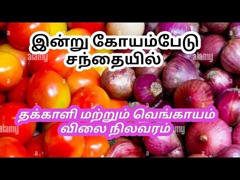 இன்று கோயம்பேடு சந்தையில் தக்காளி‌ மற்றும் வெங்காயம் விலை நிலவரம் தமிழ் #koyambedumarket #onionprice
