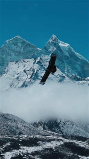 Himalayan Flying - Everest Trek Nepal #nepal #ebc #everestbasecamptrek