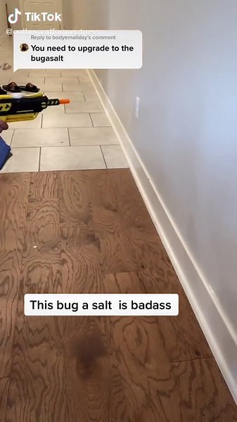 Bug-A-Salt: The Best Salt Blaster for Bug Control