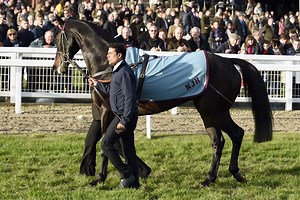 'He's been a great part of my life — it's been an extraordinary journey': Nicky Henderson retires Sprinter Sacre - Horse & Hound