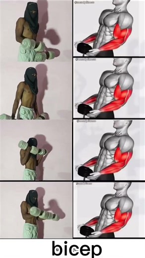 💪FULL BICEPS WORKOUT 😱🤫... #workout #gymtrainer #fitnesstrainer #chest #shoulder #forearms #back