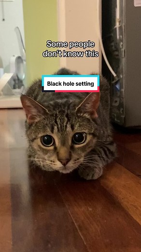 Cat's Black Hole Setting: What It Means When Their Pupils Dilate