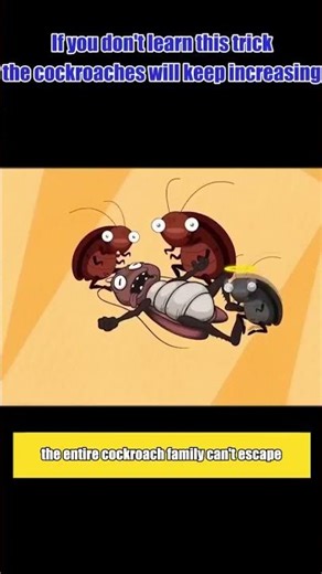 Cockroach Killer Powder Gel (Pack of 24pc)