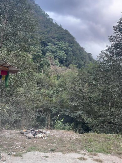 I got over 1,000 reactions on my posts last week! Thanks everyone for your support! 🎉 | Monger Monger