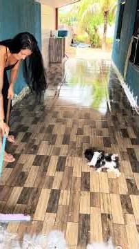 Deep Cleaning Filthy Balcony | Satisfying Power Washing & Scrubbing ASMR Transformation