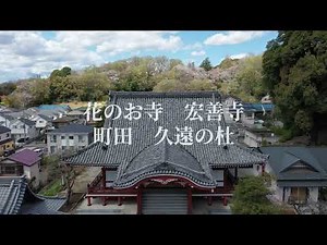【樹木葬】町田 久遠の杜オープン