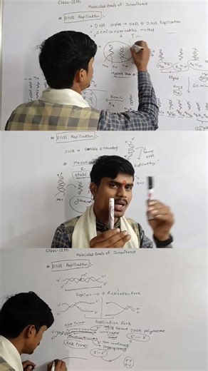 DNA 🧬 replication #DNA_replication #genetics