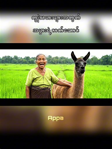 #appa #foryou #fyp #