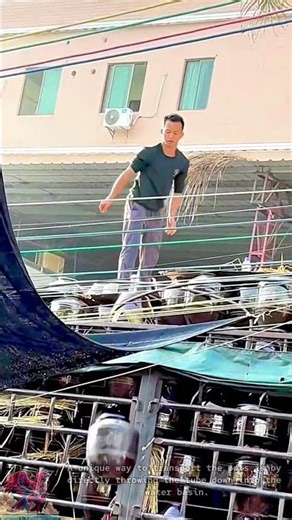 Unique Water-Based Transport of Sieve Pipes #tools #shorts #viral #creative #video