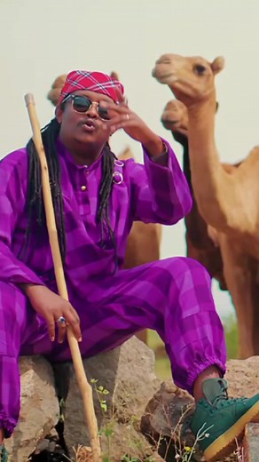 Shaggar Tv (@shaggartv)’s videos with original sound - Shaggar Tv