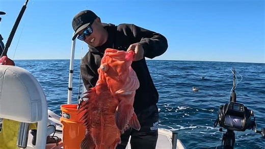 oliver ngy on Instagram: "Some of the biggest rockfish you're going to see on youtube! New video featuring Daniel, Munn, Raven & @caliproduk_ is up with two giant Cowcod successfully released and descended and several new PB's! There may or may not have been a New @theigfa All Tackle world record (or 3) caught on this trip 👊 Only a couple days available to finish out this wild 2025 deep Jigging season so message me if you want in before its shut down! Or if you want to book for the opener in Ap