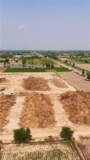 #industrialbiomass #biomass #biostacks