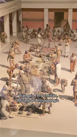 #cdmx #cdmxreview #cdmxlife #museodeantropologiacdmx #mexicocity