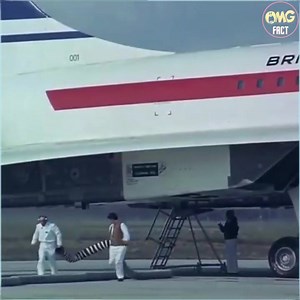 Amazing Facts #facts | Facts Book