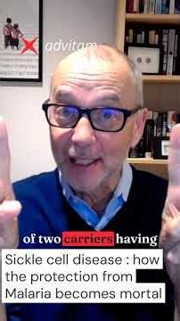 The relation between malaria and sickle cell disease