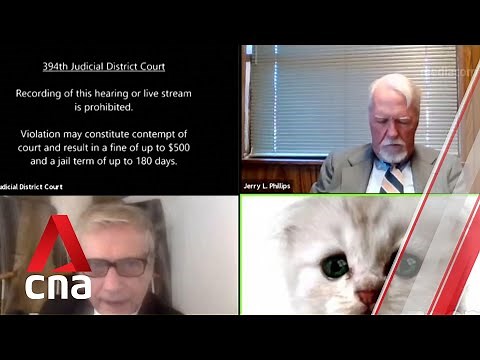 Texas lawyer gets stuck with cat filter during virtual hearing on Zoom