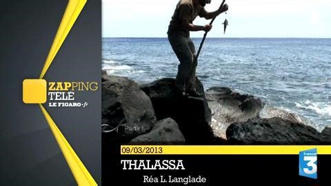 L'incroyable vie de "Robinson" sur une île déserte