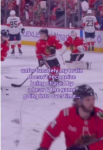 Hockey Fan's Reaction to Game Similarities