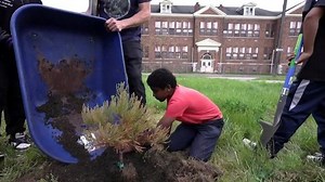 Kids Plant California’s Famous Sequoia Trees in Detroit | Haystack News