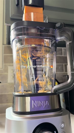 Ninja Kitchen System: Replace Half Your Kitchen
