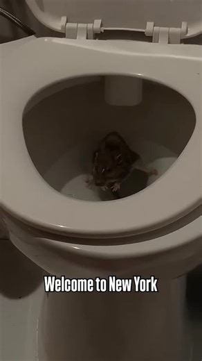 Barstool Sports on Instagram: "I’m never pooping again"
