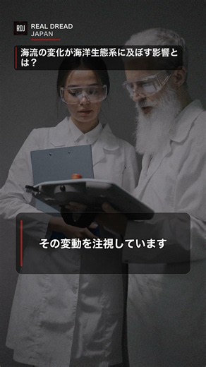海流変動 怖い話：海流の変化が海洋生態系に及ぼす影響とは？