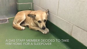 32K views · 1.2K reactions | Update: Thanks to everyone for sharing!...