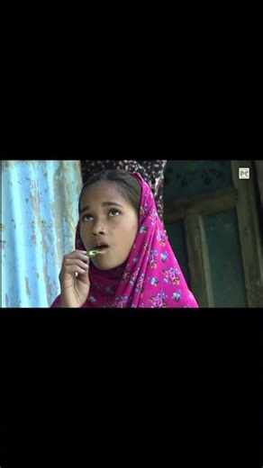 মেঘনা মোহনার জলেভাসা হাতিয়ার নলের চর