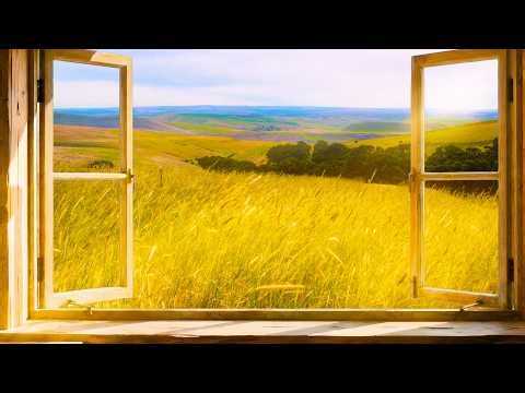 Beautiful Open Window View to Dalles Mountain Hills in 8K | Nature Sounds for Relaxation