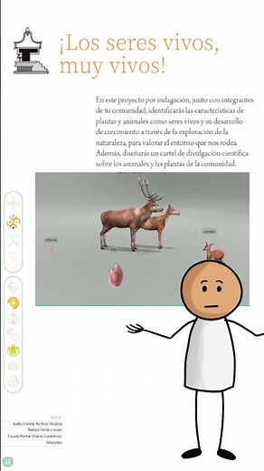 Oviparous, viviparous and ovoviviparous.