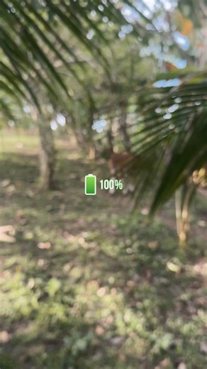 Weekend recharge in progress ☕🌿 #weekendvibes #weekendrecharge #sundayreset #recharging #weekend #naturevibes #weekendcoffee | Ka Y Le