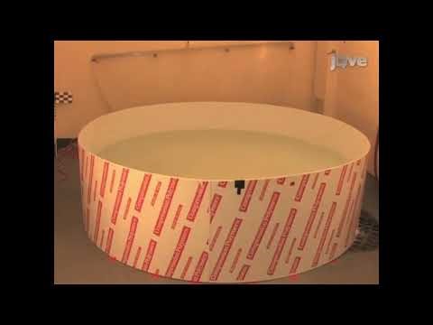 Assessing the impact of cranial radiotherapy on cognitive function