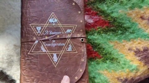 Luxury Leather Wizard Spell Book – Beginner’s Guide to Transfiguration, Handmade Leather Softbook, Aged Pages, Fantasy Wizard Book - Etsy